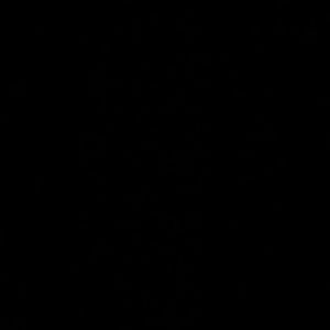 Meet your Posher, Dunaaa